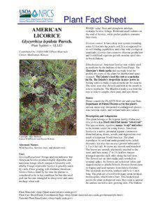 Plant Fact Sheet AMERICAN LICORICE