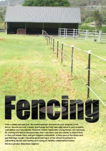 A quick and inexpensive temporary fence made from star pickets and electric tape, with caps on the pickets for safety  Fencing