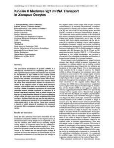 Current Biology, Vol. 14, 219–224, February 3, 2004, 2004 Elsevier Science Ltd. All rights reserved. DOIj.cubKinesin II Mediates Vg1 mRNA Transport in Xenopus Oocytes J. Nicholas Betley,1 Bian