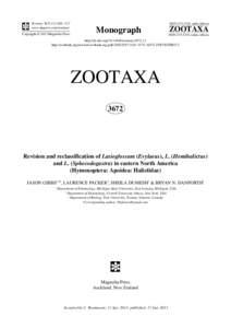 Revision and reclassification of Lasioglossum (Evylaeus), L. (Hemihalictus) and L. (Sphecodogastra) in eastern North America (Hymenoptera: Apoidea: Halictidae)