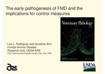 The early pathogenesis of FMD and the implications for control measures