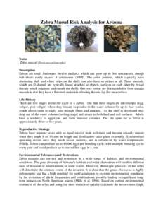 Zebra Mussel Risk Analysis for Arizona  Name Zebra mussel (Dreissena polymorpha) Description Zebras are small freshwater bivalve mulluscs which can grow up to five centimeters, though
