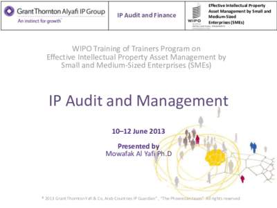 IP Audit and Finance  Effective Intellectual Property Asset Management by Small and Medium-Sized Enterprises (SMEs)