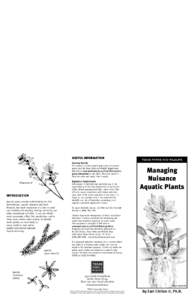 Dispersal of this publication conforms with Texas State Documents Depository Law, and it is available at Texas State Publications Clearinghouse and/or Texas Depository Libraries. PWD BR T3200-082A[removed]Smith Scho