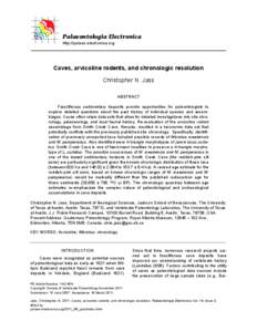 Cricetidae / Tundra Vole / Microtus / Voles and lemmings / Arvicolinae