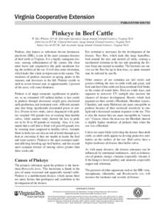 publication[removed]Pinkeye in Beef Cattle W. Dee Whittier D.V.M., Extension Specialist, Large Animal Clinical Sciences, Virginia Tech John Currin D.V.M., Clinical Instructor, Large Animal Clinical Sciences, Virginia Te