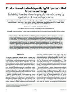 REPORT  mAbs 5:6, 962–973; November/December 2013; © 2013 Landes Bioscience Production of stable bispecific IgG1 by controlled Fab-arm exchange