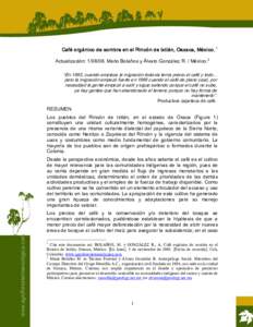 Café orgánico de sombra en el Rincón de Ixtlán, Oaxaca, México. 1  Actualización: . Mario Bolaños y Álvaro González R. / México. 2  “En 1993, cuando empieza la migración t