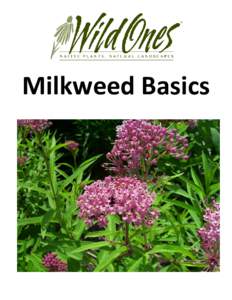 Milkweed Basics  Wild for Monarchs Milkweed Basics Index  Wild Ones Wild for Monarchs Campaign -Collecting, Shipping, and Growing Milkweed