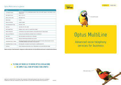 Business  Optus MultiLine at a glance