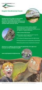 English Geodiversity Forum  Geodiversity is the variety of rocks, fossils, minerals, soils, landforms and natural processes. Geodiversity directly influences and shapes our natural environment, our landscape