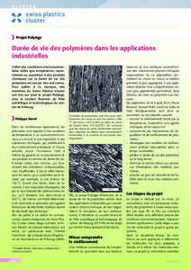 CLUSTER  Projet PolyAge L’effet des conditions environnementales, telles que température, rayonnement ou exposition à des produits chimiques sur la durée de vie des