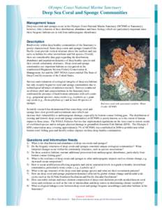 Olympic Coast National Marine Sanctuary  Deep Sea Coral and Sponge Communities Management Issue Deep-sea corals and sponges occur in the Olympic Coast National Marine Sanctuary (OCNMS or Sanctuary); however, little is kn