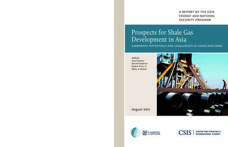 a report of the csis energy and national security program Prospects for Shale Gas Development in Asia