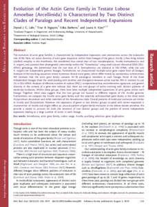 Evolution of the Actin Gene Family in Testate Lobose Amoebae (Arcellinida) is Characterized by Two Distinct Clades of Paralogs and Recent Independent Expansions Daniel J. G. Lahr,1 Truc B. Nguyen,2 Erika Barbero,2 and La