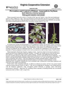 Prevention and Control of Palmer Amaranth in Soybean David Holshouser, Extension Agronomist Henry Wilson, Extension Weed Scientist Scott Hagood, Extension Weed Scientist  Palmer amaranth (Amaranthus palmeri), a member of