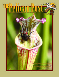 THE  Pelican Post A quarterly publication - Weeks Bay Foundation  Summer 2007