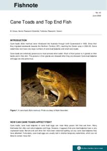 Cane Toads and Fish (DPIFM_NT)