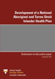 Development of a National Aboriginal and Torres Strait Islander Health Plan Submission to discussion paper December 2012