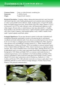 Tradescantia fluminensis Vell. Commelinaceae/Dayflower Family Common Names: Synonymy: Origin: