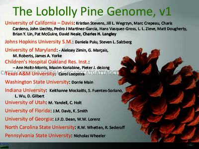 The	
  Loblolly	
  Pine	
  Genome,	
  v1	
   University	
  of	
  California	
  –	
  Davis:	
  Kris=an	
  Stevens,	
  Jill	
  L.	
  Wegrzyn,	
  Marc	
  Crepeau,	
  Charis	
   Cardeno,	
  John	
  Liec
