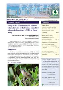 Rufous / Asia / Rufous-rumped Grassbird / Old World warbler / Tai Mo Shan