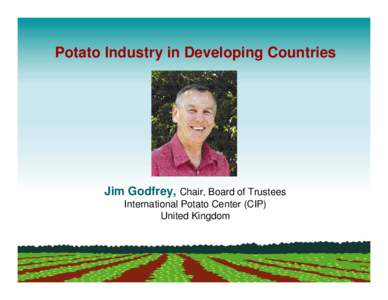 Potatoes / International Potato Center / Phytophthora infestans / Chuño / Food and drink / Staple foods / Tubers