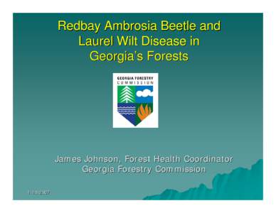 Redbay Ambrosia Beetle and Laurel Wilt Disease in Georgia’s Forests James Johnson, Forest Health Coordinator Georgia Forestry Commission