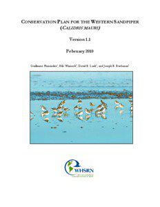 CONSERVATION PLAN FOR THE WESTERN SANDPIPER (CALIDRIS MAURI) Version 1.1