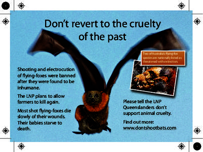 Don’t revert to the cruelty of the past Two of Australia’s flying fox species are nationally listed as threatened with extinction.