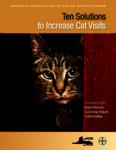 A M E R I C A N A S S O C I AT I O N O F F E L I N E P R A C T I T I O N E R S  Ten Solutions to Increase Cat Visits  Developed from the