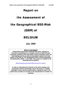 Report on the assessment of the Geographical BSE-risk of BELGIUM  July 2000 Report on the Assessment of