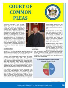 COURT	OF		  						COMMON PLEAS	 Fiscal Year 2014 was a busy and challenging year for the Court of Common Pleas. The number of cases that are