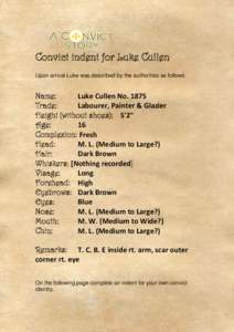 Convict indent for Luke Cullen Upon arrival Luke was described by the authorities as follows: Name: Luke Cullen No[removed]Trade: