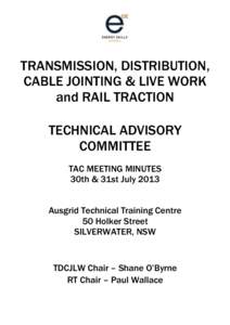 TRANSMISSION, DISTRIBUTION, CABLE JOINTING & LIVE WORK and RAIL TRACTION TECHNICAL ADVISORY COMMITTEE TAC MEETING MINUTES