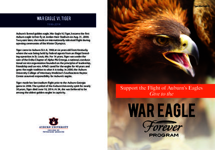 Tiger, War Eagle VI  War Eagle VI, Tiger[removed]Auburn’s famed golden eagle, War Eagle VI, Tiger, became the first Auburn eagle to free fly at Jordan-Hare Stadium on Aug. 31, 2000.