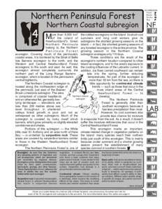 Northern Peninsula Forest Northern Coastal subregion 4  ore than 8,000 km2 the coldest ecoregions on the Island. Its short cool