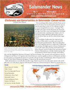 Salamander News No. 3 March 2014