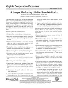 publication[removed]A Longer Marketing Life For Bramble Fruits Herbert D. Stiles, Extension Horticulturist, Virginia Tech  Mosbah M. Kushad, Postharvest Physiologist, Virginia Tech