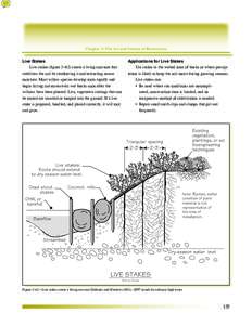 Agriculture / Earth / Environment / Environmental soil science / Soil science / Fascine / Erosion / Geotextile / Soil / Geotechnical engineering / Fortification / Plant reproduction