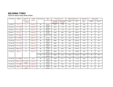 BELSHINA SPEC- & SIZE SHEET.xls