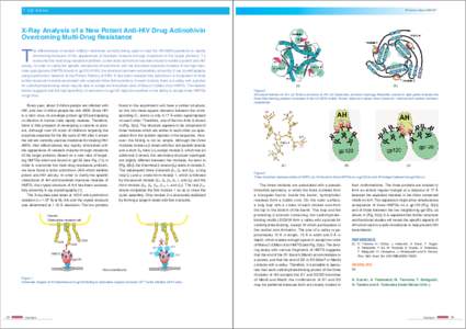 5 Life Science  PF Activity Report 2009 #27 X-Ray Analysis of a New Potent Anti-HIV Drug Actinohivin Overcoming Multi-Drug Resistance