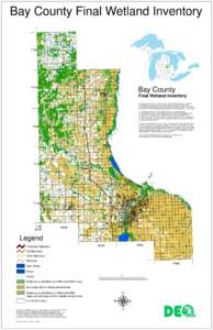 Bay County Final Wetland Inventory Bartlett 9 Mile  Brown