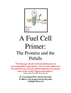 Fuel Cells: The Promise and the Pitfalls