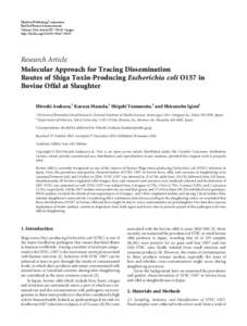 Molecular Approach for Tracing Dissemination Routes of Shiga Toxin-Producing Escherichia coli O157 in Bovine Offal at Slaughter