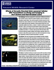 Patuxent Wildlife Research Center Effects of Dorsally Mounted Solar-powered Cellular GPS Transmitters on diving and foraging in Surf Scoters and Red-throated Loons The Challenge: Numerous proposals for construction of of