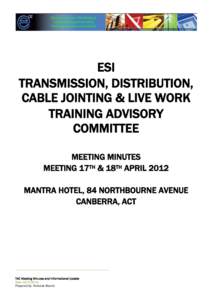 ESI TRANSMISSION, DISTRIBUTION, CABLE JOINTING & LIVE WORK TRAINING ADVISORY COMMITTEE MEETING MINUTES