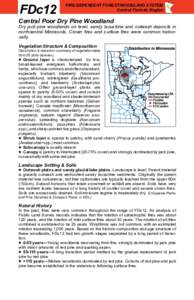 FDc12 Central Poor Dry Pine Woodland fact sheet