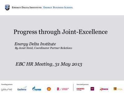Progress through Joint-Excellence Energy Delta Institute By Janet Smid, Coordinator Partner Relations EBC HR Meeting, 31 May 2013