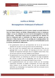UITNODIGING: JUSTITIE EN WELZIJN. BEROEPSGEHEIM:  19 januari 2011  HINDERPAAL OF HEFBOOM?        Kabinet Jo Vandeurzen 